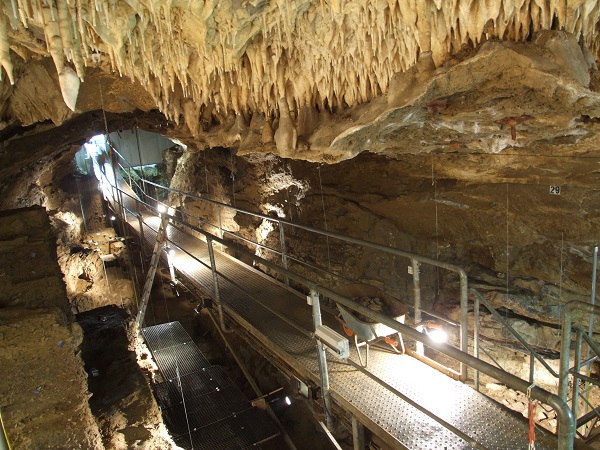 Centre archéologique de la grotte Scladina : réouverture le 16 mai !