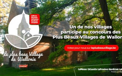 Thon-Samson Plus Beau Village de la Province de Namur : MERCI !