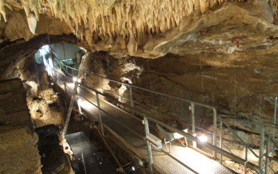 Une découverte exceptionnelle au Centre archéologique de la Grotte Scladina !
